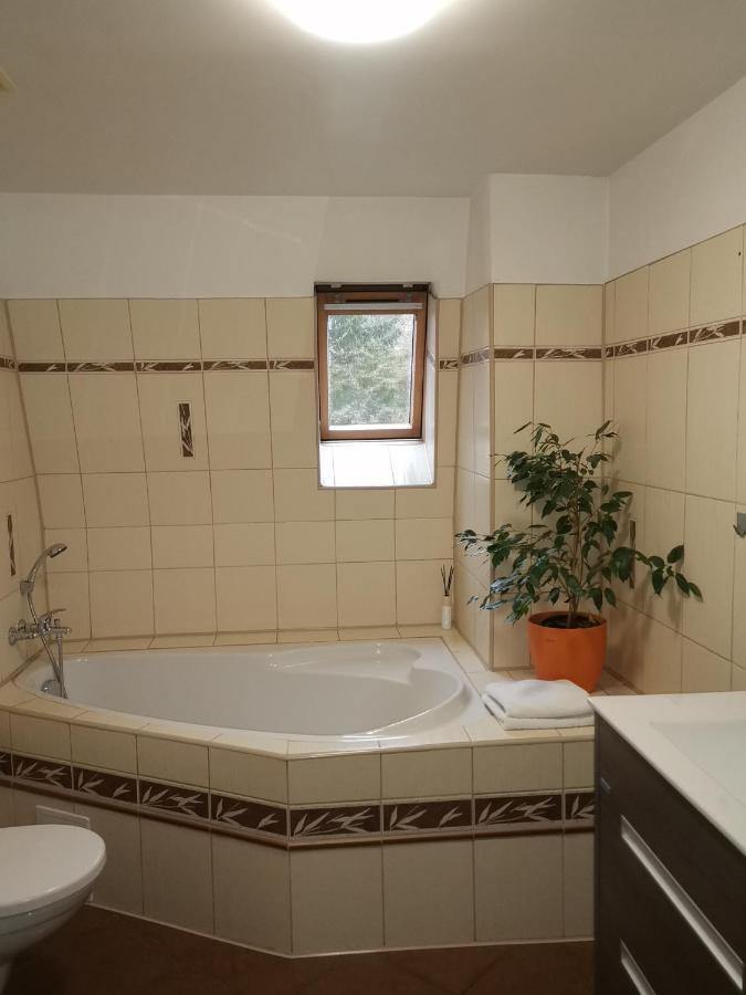 Apartmany Paseky - יאבלונק נאד ניסו מראה חיצוני תמונה