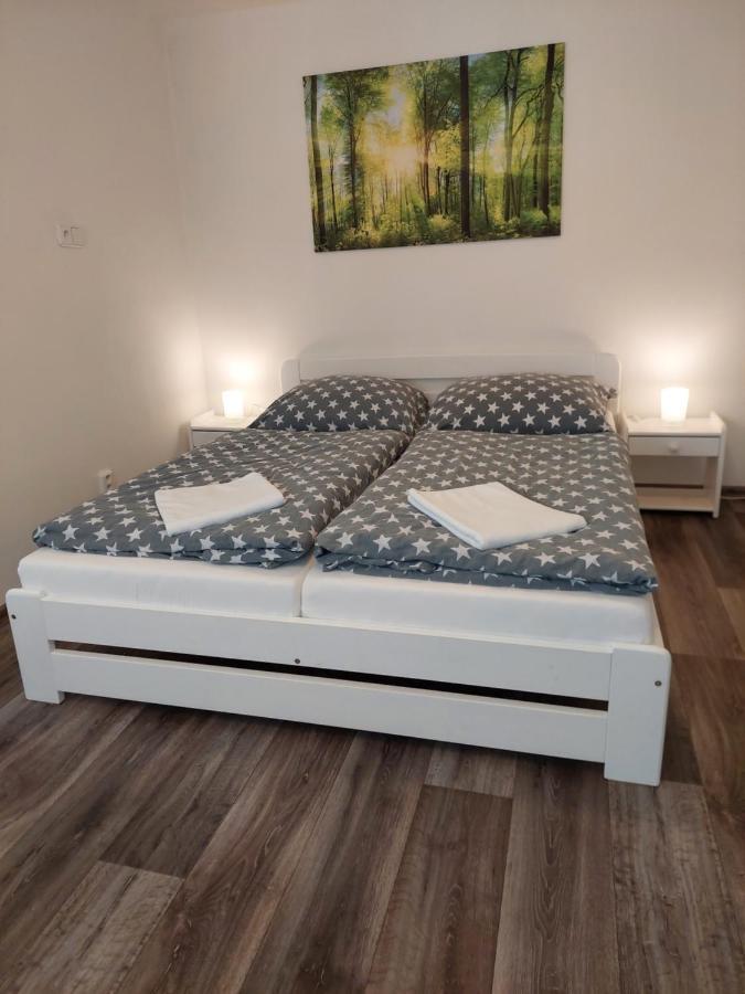 Apartmany Paseky - יאבלונק נאד ניסו מראה חיצוני תמונה