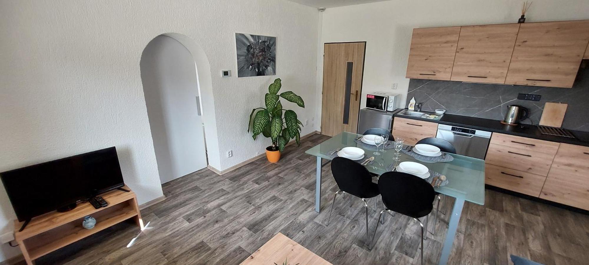 Apartmany Paseky - יאבלונק נאד ניסו מראה חיצוני תמונה