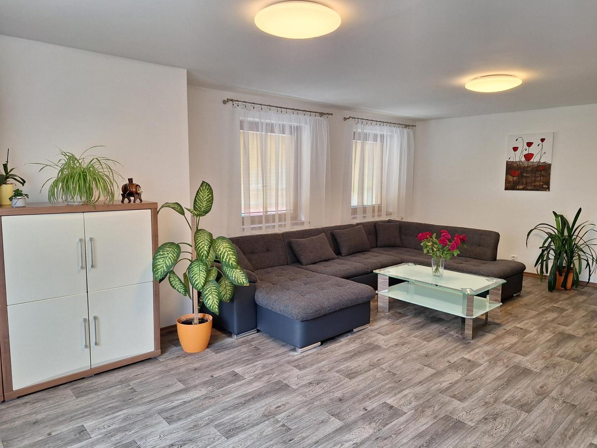 Apartmany Paseky - יאבלונק נאד ניסו מראה חיצוני תמונה